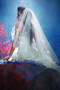 ARIEL_108_VEIL_S12