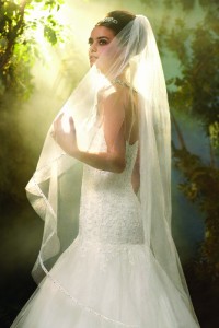 CINDERELLA_107_VEIL_S12