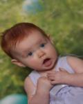 Aurelia