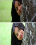 Dishapinto