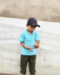Nihan