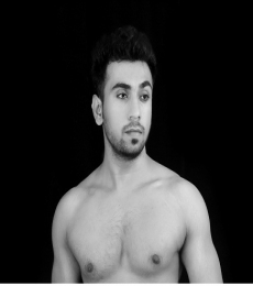  Model