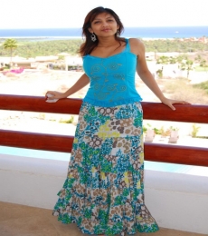  Model