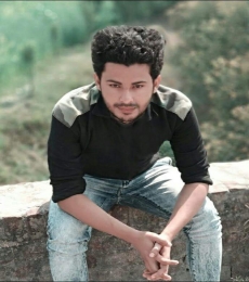 Ahmer Model