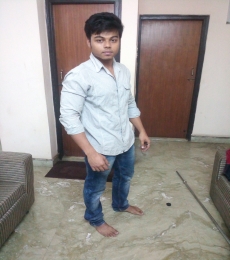 Anirudh Model