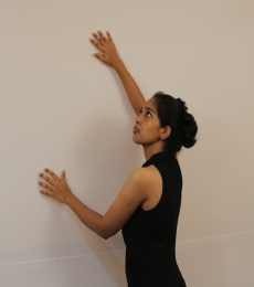 arifashaikh Model