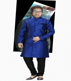aryaveer Model