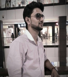 Ashvin Model