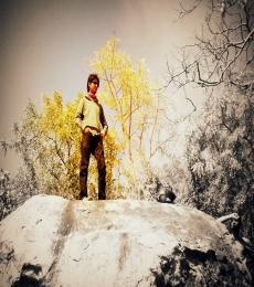 srikar Model