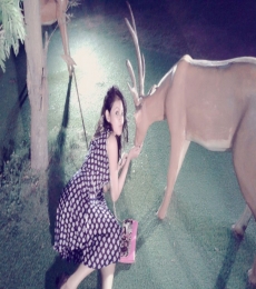 B Model