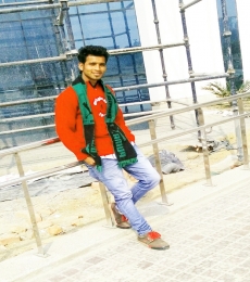 BheemPrakash Model
