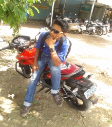 hamidzack Model