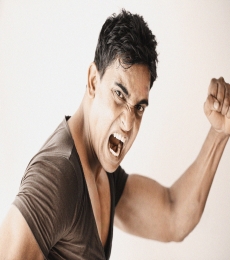 HEMENDRA JAIN Model