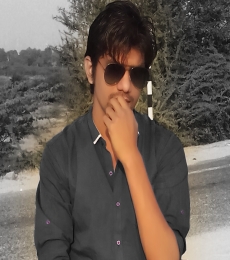 HimanshuDave Model