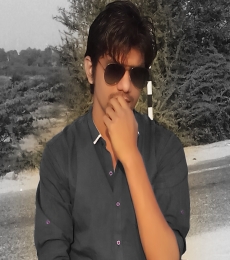 HimanshuDave Model