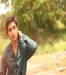 Arqam Model