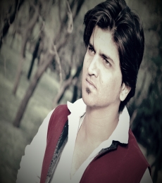 Naitik Model
