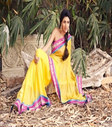 nishtha Model