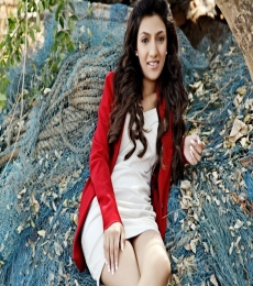 nishtha Model