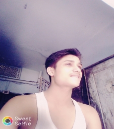 Raja Model