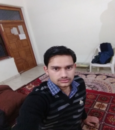 Rishabh Model