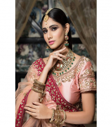 sakshi Model