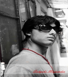 Sid Model