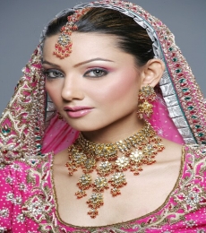 Shipra Malik Model