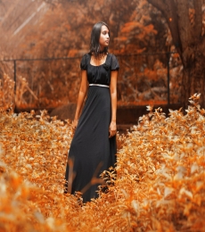 Vaishnavi Model
