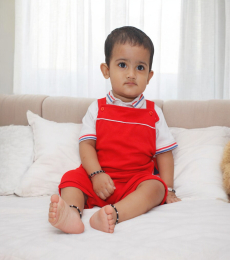 Vedant Model
