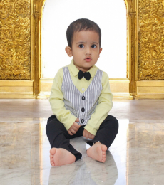 Vedant Model