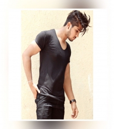 vikas Model