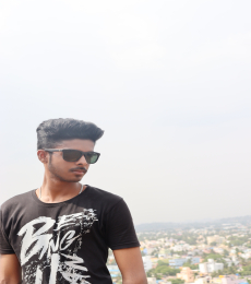vishnudevan Model