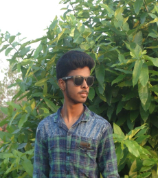 vishnudevan Model