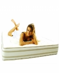 Elvira_iuris Model