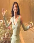 Jia Ali Model