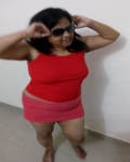 BBWModel Model