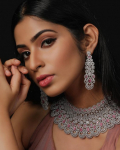 prathvi Model