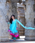 Priti Model