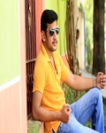 Sathish Model