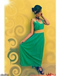 Vaishnavi Model