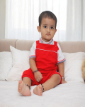 Vedant Model